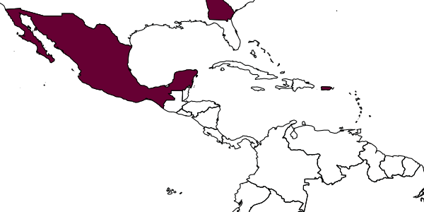 map of Brasema allynii     (French)